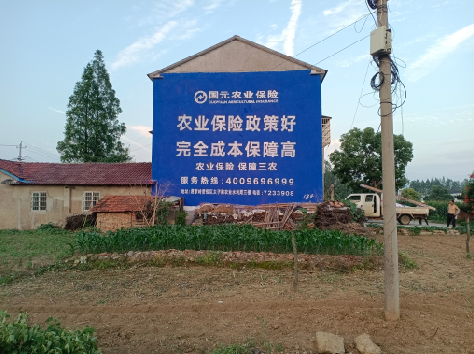 茂县墙体广告的优劣势你知道吗？